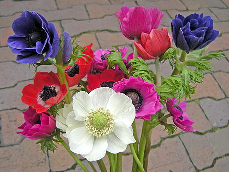 a0001354_21462253.jpg