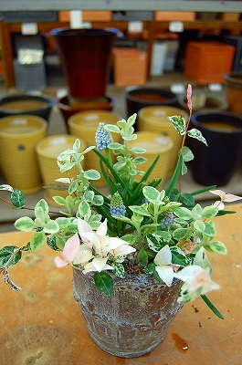 e0025655_6172473.jpg