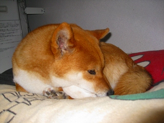 e0160568_15344759.jpg