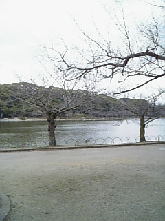d0061770_1604283.jpg