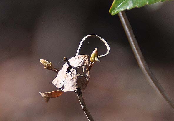 f0198771_0315749.jpg