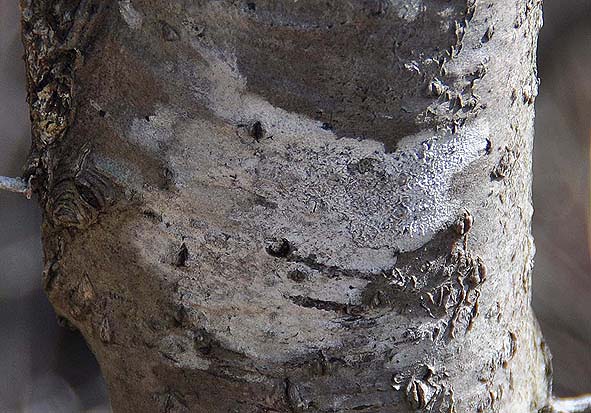 f0198771_035372.jpg