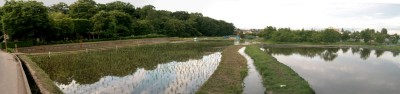 c0112172_1593849.jpg
