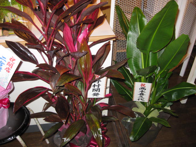 e0169573_21235970.jpg