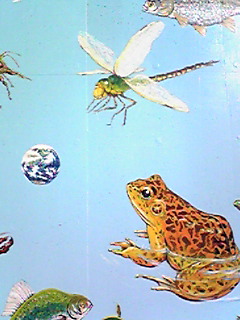 f0124177_2373932.jpg