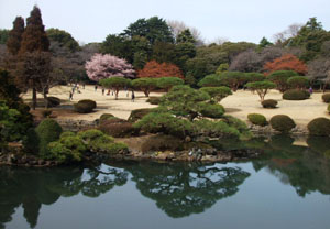 c0051781_013198.jpg