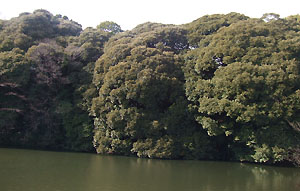 c0051781_0135885.jpg