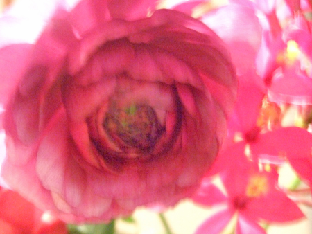 c0141981_17363194.jpg