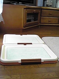 f0175585_9562798.jpg
