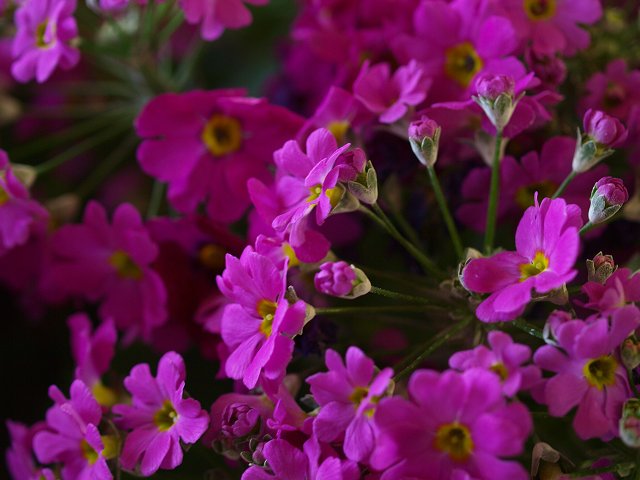 c0187587_21355411.jpg