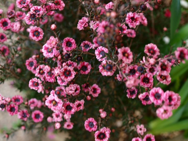 c0187587_21462747.jpg