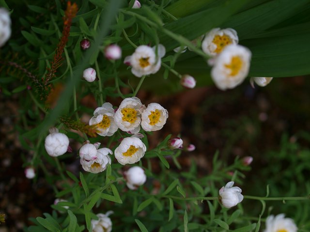 c0187587_214658100.jpg