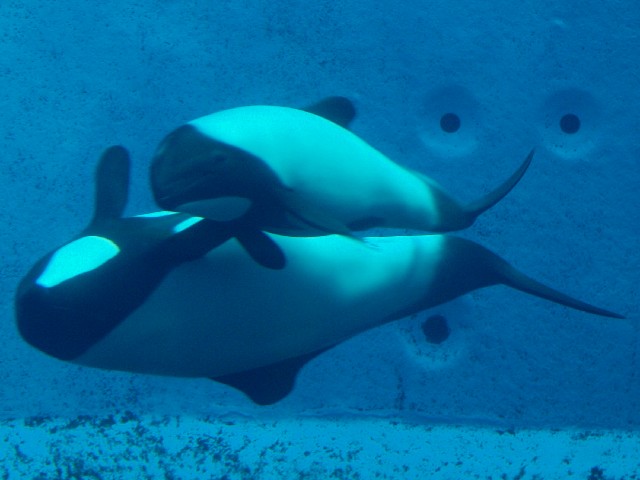 c0187587_2227941.jpg