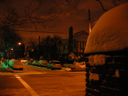 d0000995_14165875.jpg