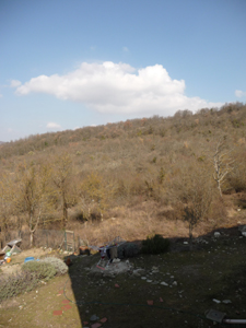 f0106597_0274974.jpg