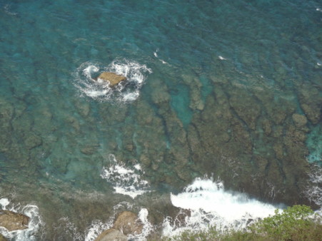e0159006_224724.jpg