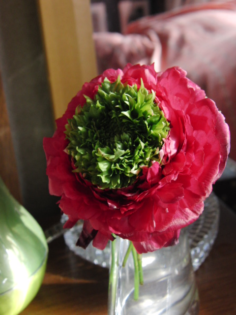 e0141909_201076.jpg