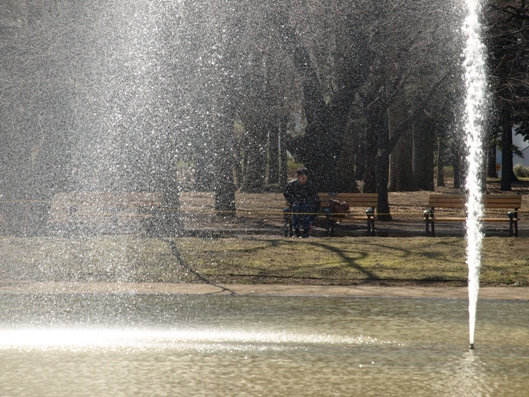 e0083212_15322155.jpg