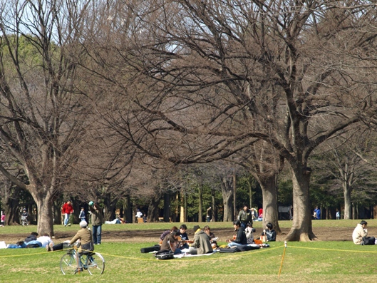 e0083212_1532289.jpg