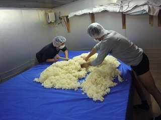 b0138713_9544823.jpg