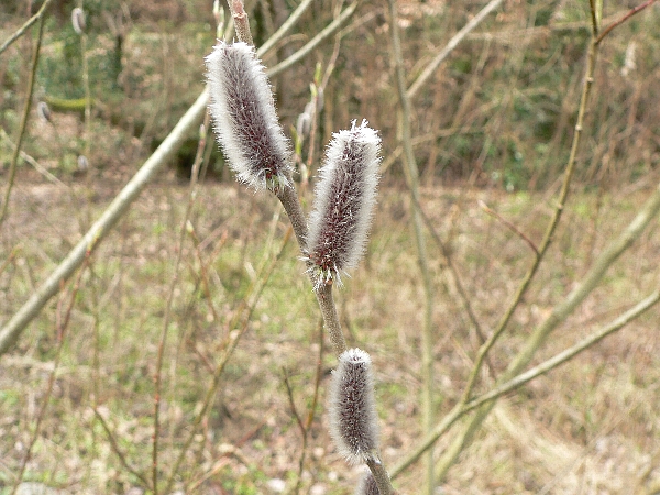 e0002314_23583227.jpg
