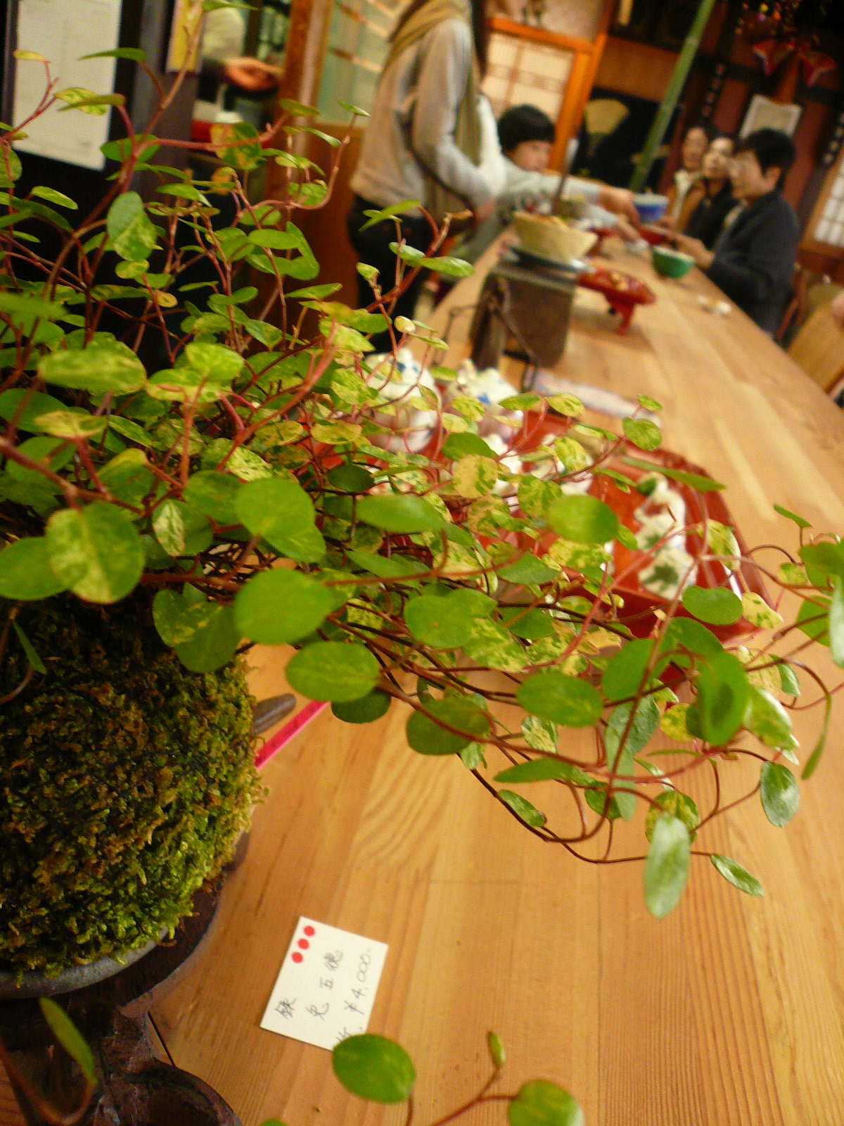 f0163920_17343679.jpg
