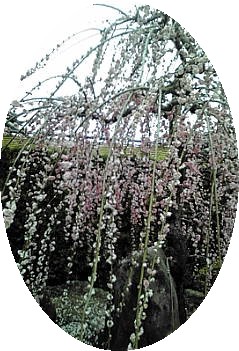 a0098027_17378100.jpg