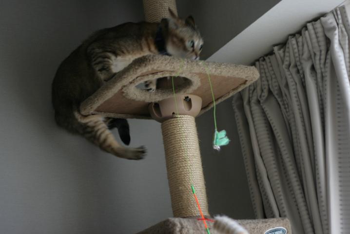 f0055228_17475991.jpg