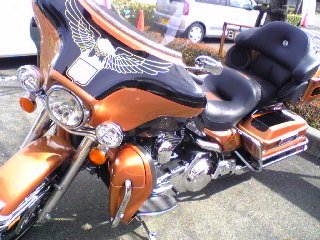 a0099129_22385790.jpg
