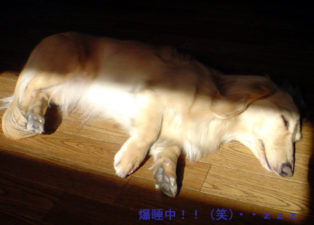c0117831_19293365.jpg