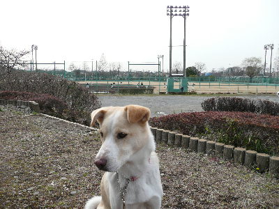 d0140133_12431010.jpg