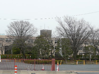 d0140133_12595370.jpg