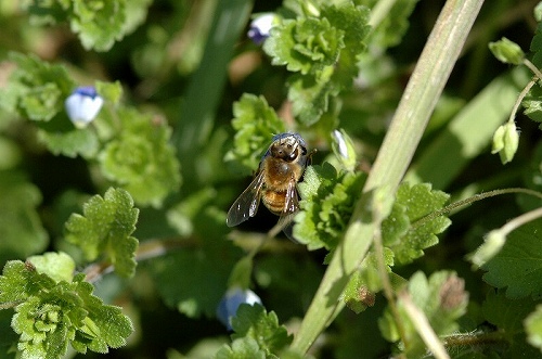 a0017634_8332575.jpg