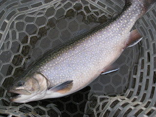 f0065341_0101819.jpg
