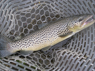 f0065341_011142.jpg