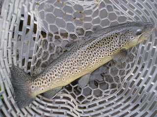 f0065341_0113542.jpg
