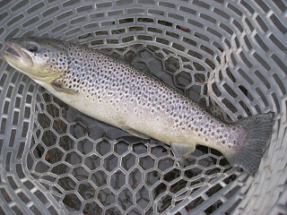 f0065341_0115884.jpg