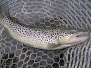 f0065341_012319.jpg