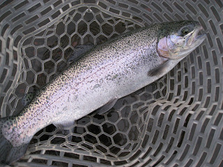 f0065341_0131945.jpg