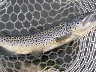 f0065341_072243.jpg