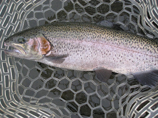 f0065341_074967.jpg