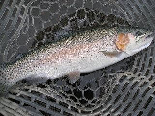 f0065341_09587.jpg
