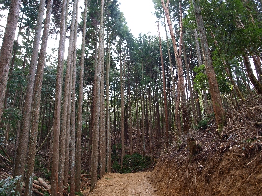 c0072843_18205942.jpg