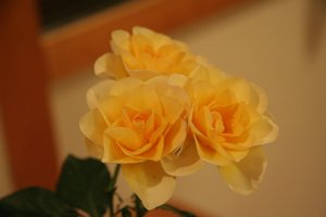 b0132950_215610100.jpg