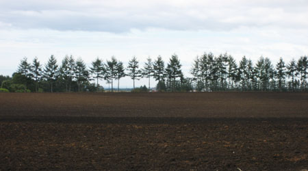 f0009457_23121599.jpg