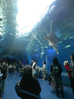 e0156059_2153735.jpg