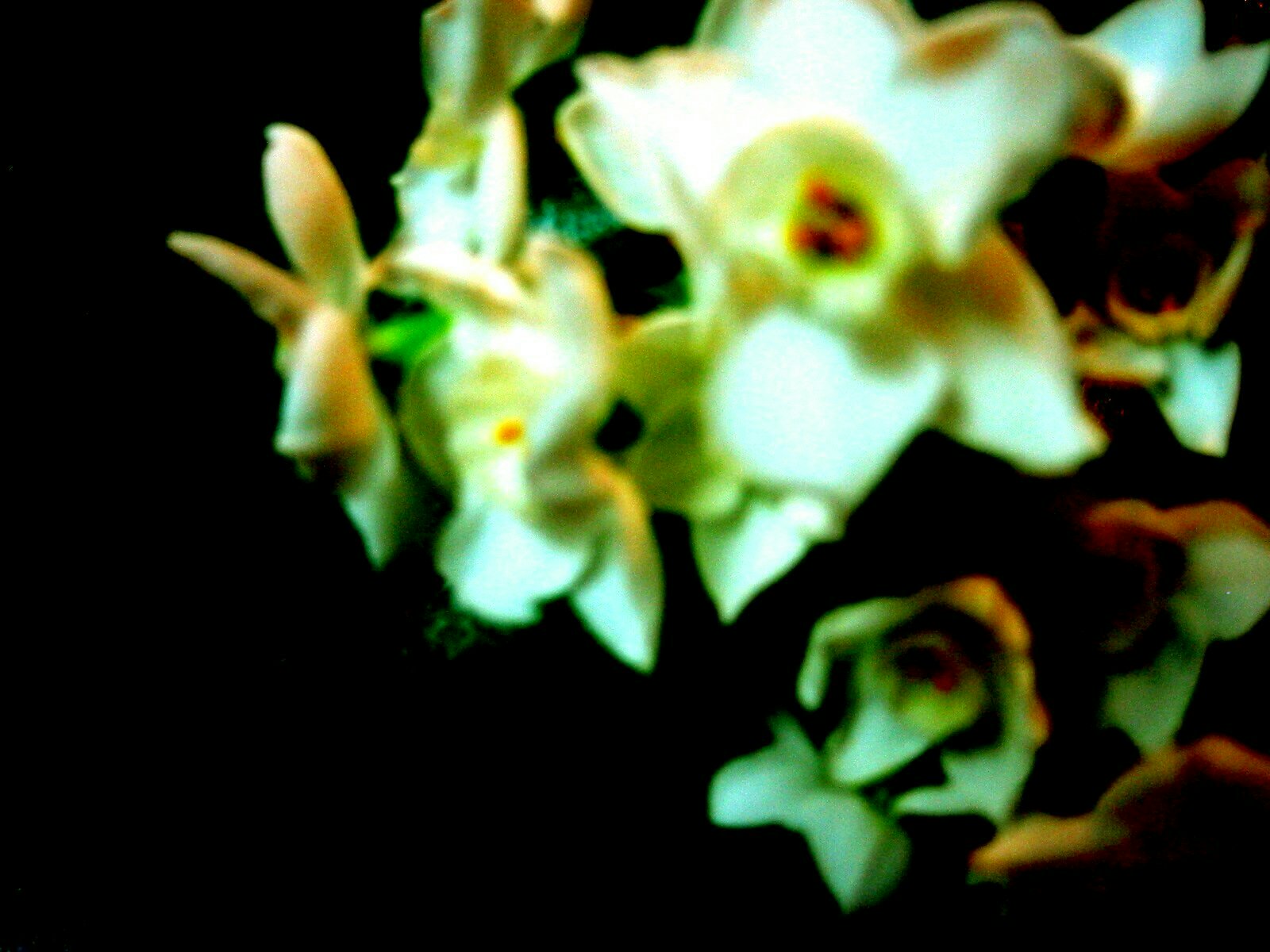 e0172160_2320132.jpg