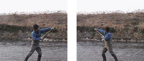 f0084561_145311100.gif