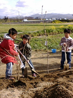 b0049463_12375929.jpg