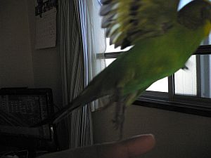 f0196665_0314968.jpg